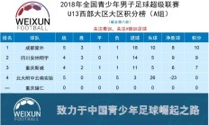 开云体育中国-江苏苏宁冲击积分榜前列，客场挑战河北华夏的简单介绍