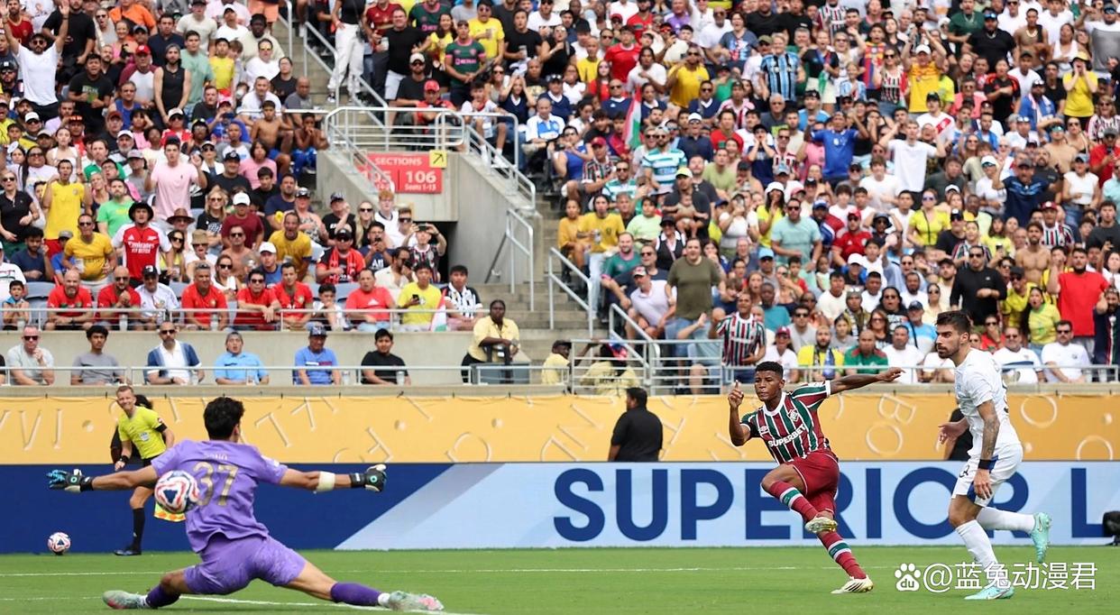 巴西乙级联赛：弗鲁米嫩塞夺冠