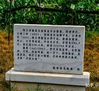 卡达利侧隋沉默声援戈失联