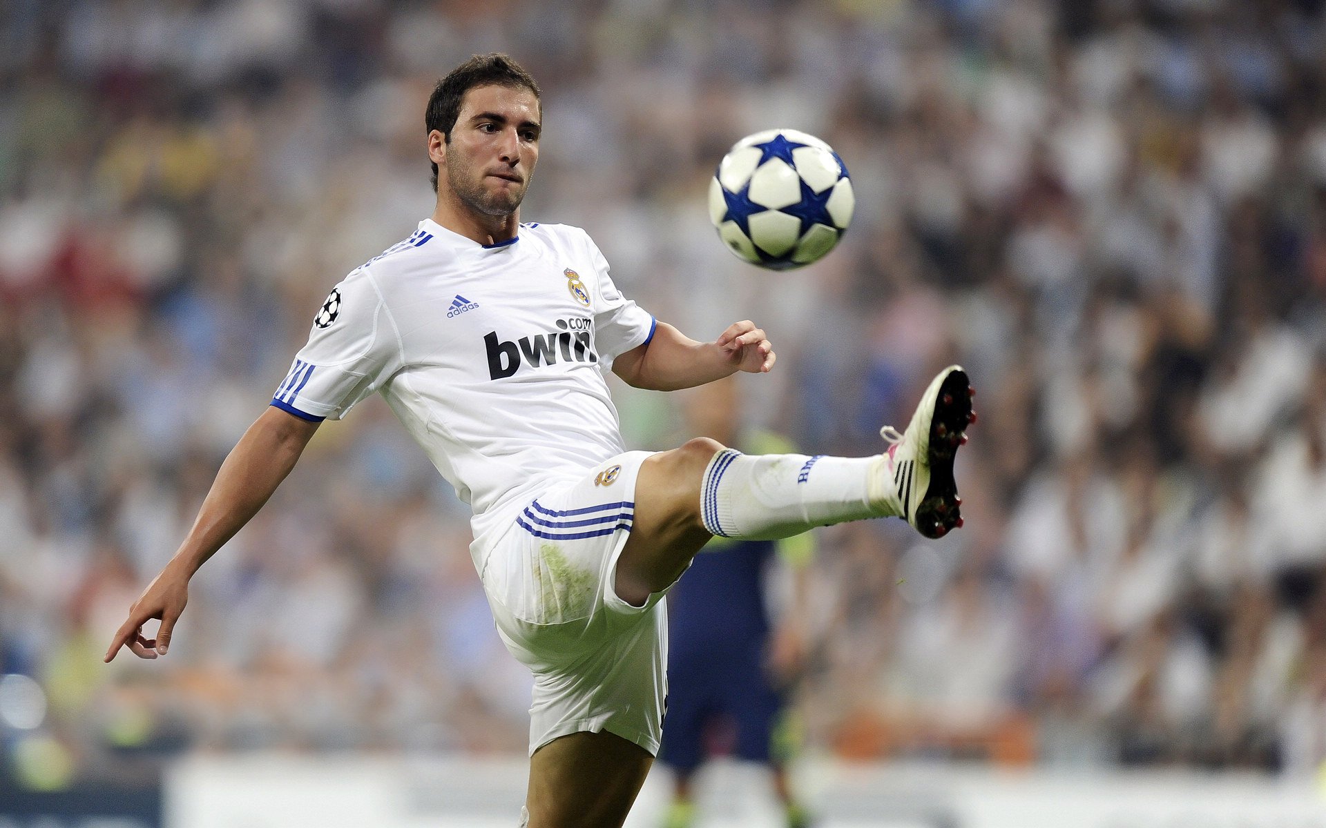 巴林赛道与皮斯胡安球场,一个数据工程师的双线战争