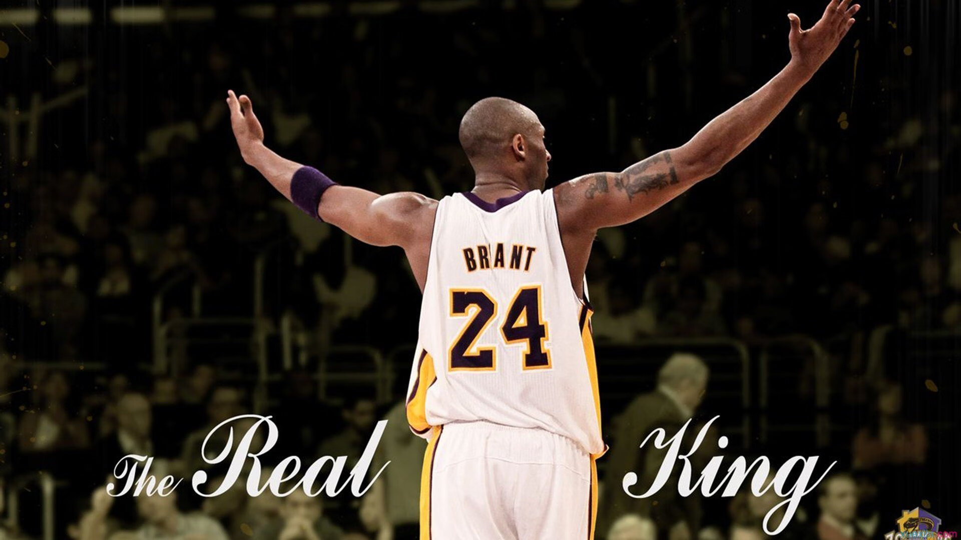 锡安教科书被撕碎，北京队用老棋谱掀翻奇才